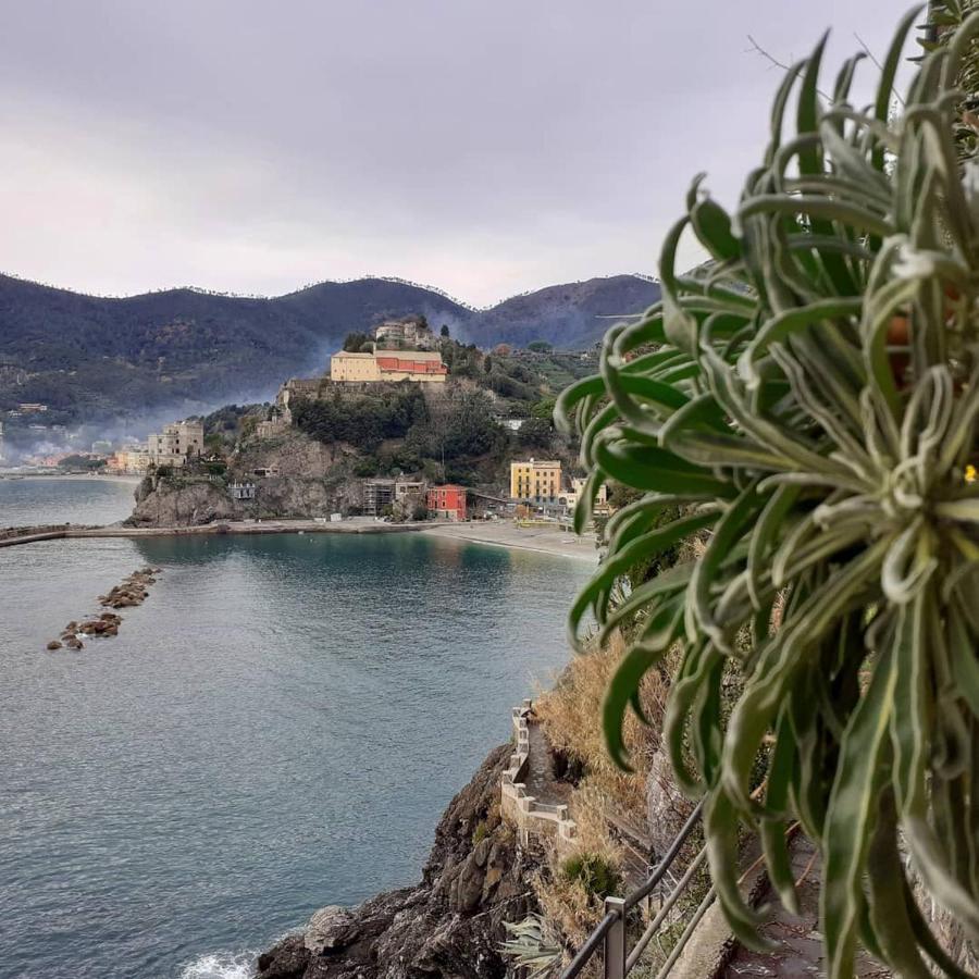 Appartamento I Pesci Monterosso al Mare Ngoại thất bức ảnh
